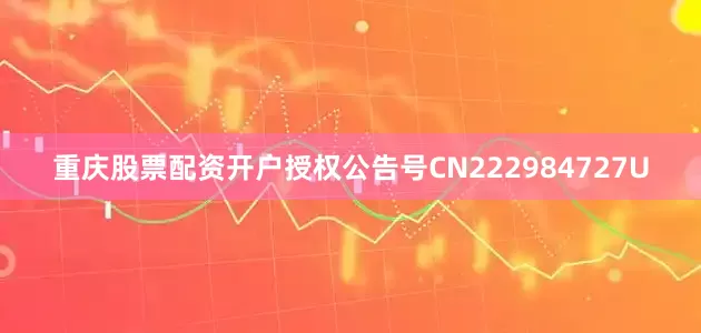 重庆股票配资开户授权公告号CN222984727U