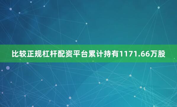 比较正规杠杆配资平台累计持有1171.66万股
