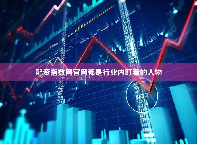 配资指数网官网都是行业内盯着的人物