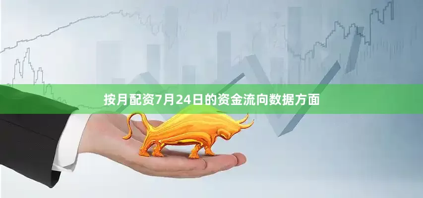 按月配资7月24日的资金流向数据方面