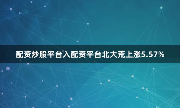 配资炒股平台入配资平台北大荒上涨5.57%