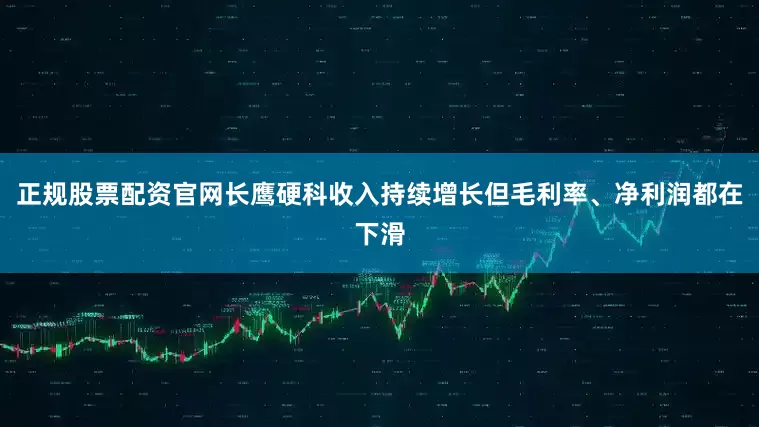 正规股票配资官网长鹰硬科收入持续增长但毛利率、净利润都在下滑