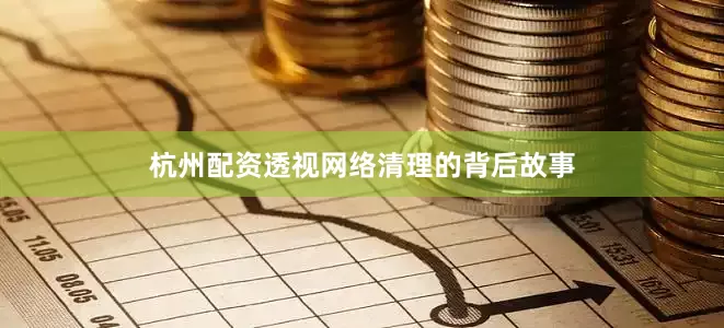 杭州配资透视网络清理的背后故事