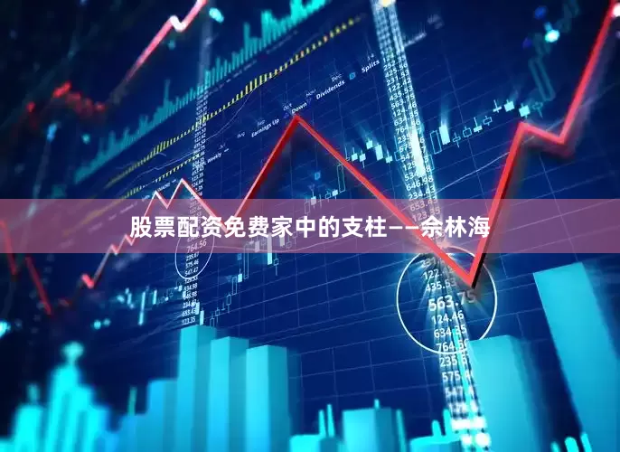 股票配资免费家中的支柱——佘林海
