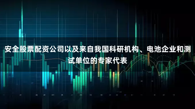 安全股票配资公司以及来自我国科研机构、电池企业和测试单位的专家代表