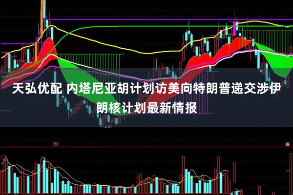 天弘优配 内塔尼亚胡计划访美向特朗普递交涉伊朗核计划最新情报